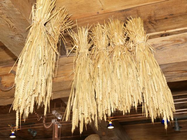 Feriendorf Alte Schmiede Mellenthin Ngoại thất bức ảnh